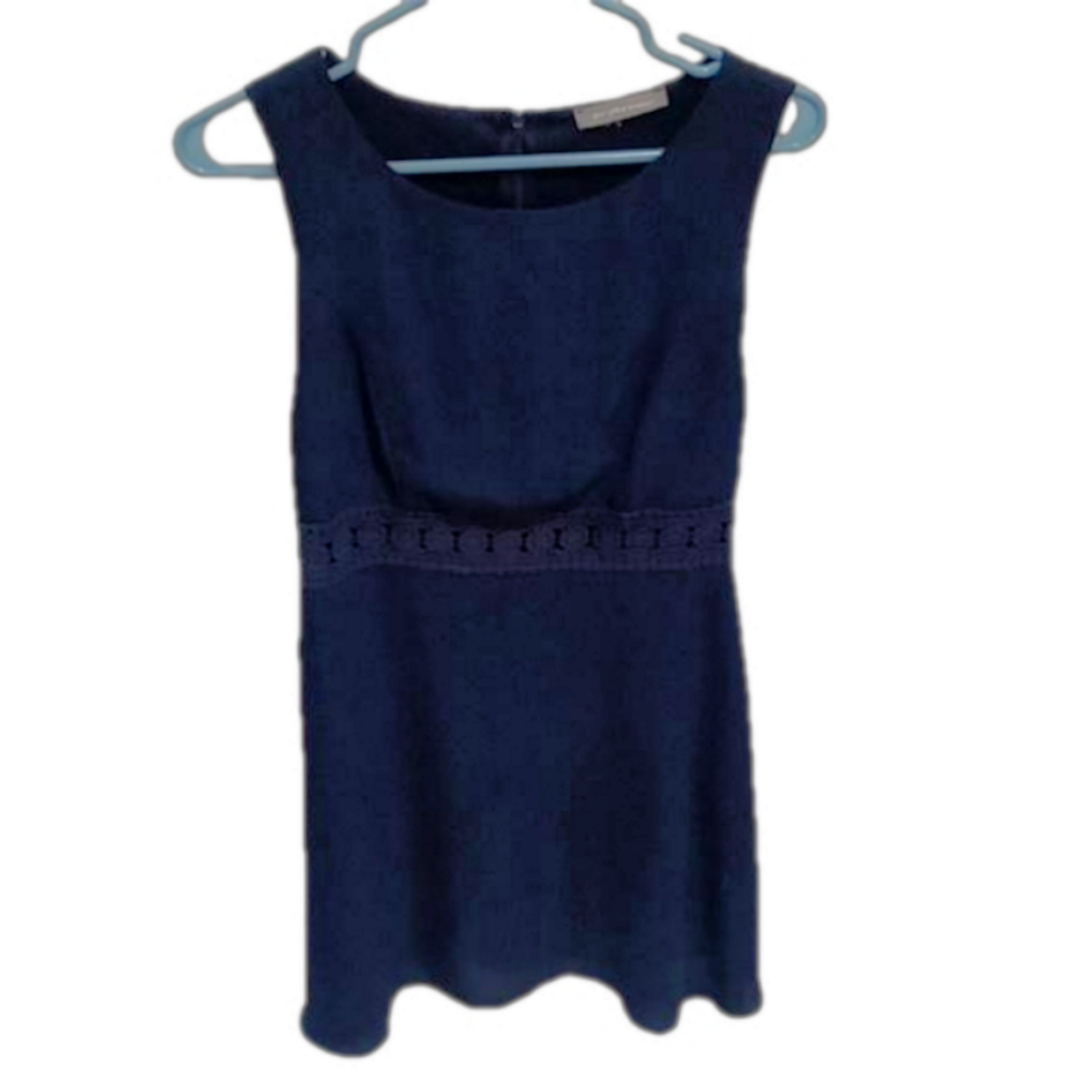 (79)  Purple snow dark blue dress